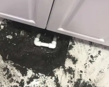 鲅鱼圈查漏水哪家好